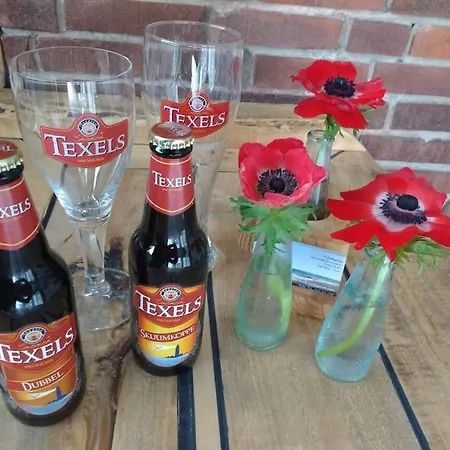 Apartman Tiny Texel Den Burg